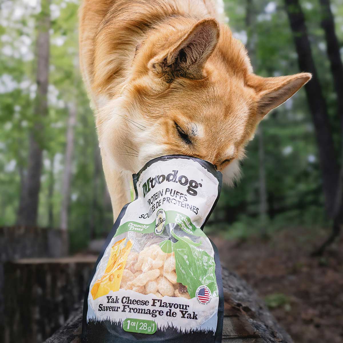 Dog Food Supplement