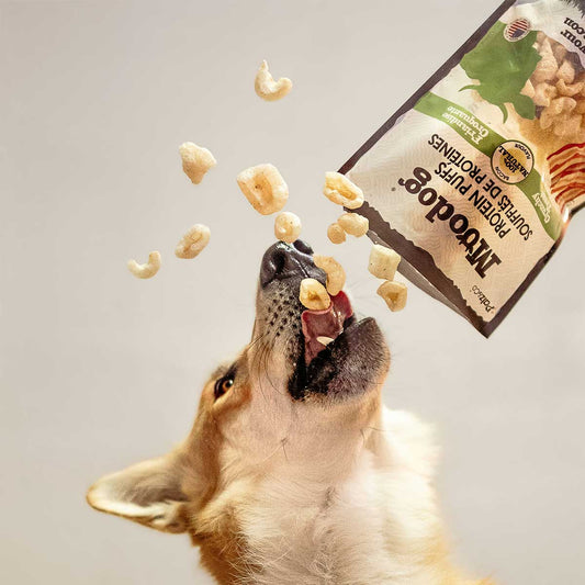 Dog Food Supplement