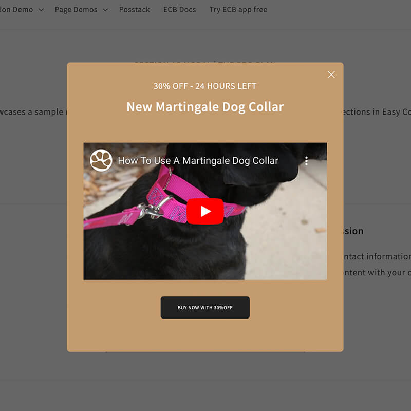 theme section - popup 8 – Easy Content Builder demo